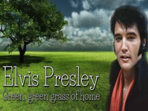 آهنگ انگلیسی Green Green Grass Of Home از Elvis Presley به همراه متن و ترجمه مجزا