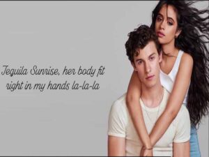 آهنگ انگلیسی Señorita از Shawn Mendes و Camila Cabello به همراه متن و ترجمه مجزا