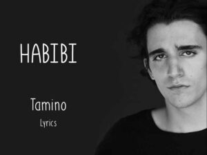 آهنگ انگلیسی Habibi (عزیزم) از Tamino به همراه متن و ترجمه مجزا