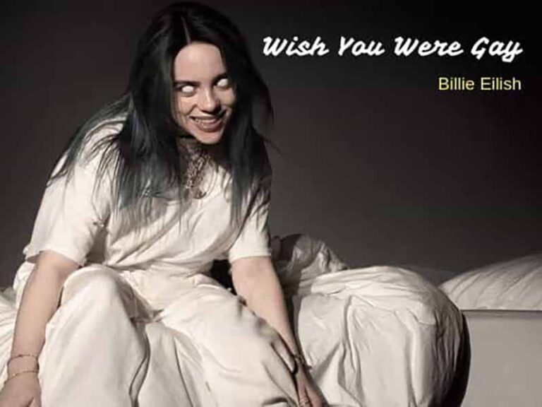 آهنگ انگلیسی wish you were gay از Billie Eilish به همراه متن و ترجمه مجزا