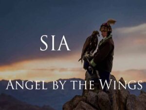 آهنگ انگلیسی Angel By The Wings از Sia به همراه متن و ترجمه مجزا