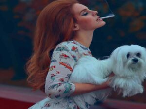آهنگ انگلیسی Shades of Cool از Lana Del Rey به همراه متن و ترجمه مجزا