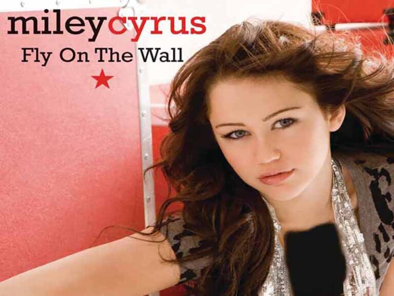 آهنگ انگلیسی Fly On The Wall از Miley Cyrus به همراه متن و ترجمه مجزا