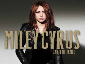 آهنگ انگلیسی Permanent December از Miley Cyrus به همراه متن و ترجمه مجزا