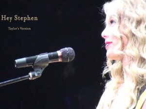 آهنگ انگلیسی Hey Stephen از Taylor Swift به همراه متن و ترجمه مجزا