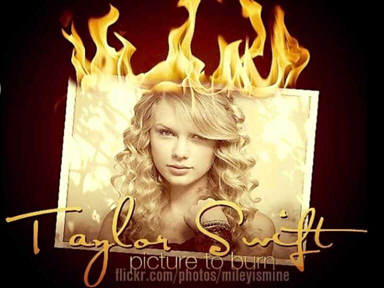 آهنگ انگلیسی Picture To Burn از Taylor Swift به همراه متن و ترجمه مجزا