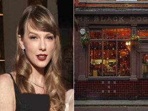آهنگ انگلیسی The Black Dog از Taylor Swift به همراه متن و ترجمه مجزا
