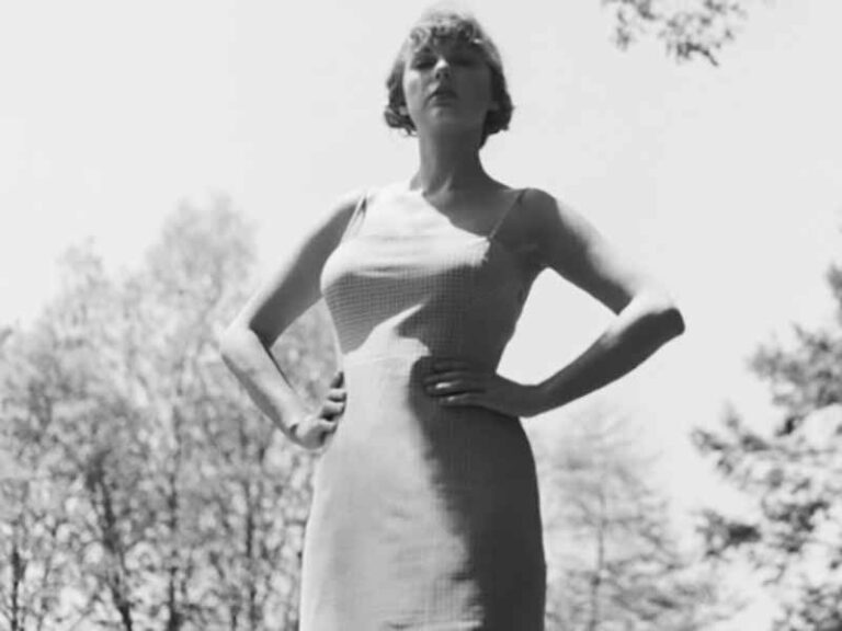 آهنگ انگلیسی the last great american dynasty از Taylor Swift به همراه متن و ترجمه مجزا