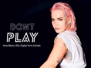 آهنگ انگلیسی  Don’t Play از Anne Marie به همراه متن و ترجمه مجزا
