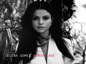 آهنگ انگلیسی Camouflage از Selena Gomez به همراه متن و ترجمه مجزا