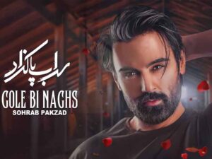 آهنگ “گل بی نقص” از سهراب پاکزاد با متن و ترجمه انگلیسی مجزا