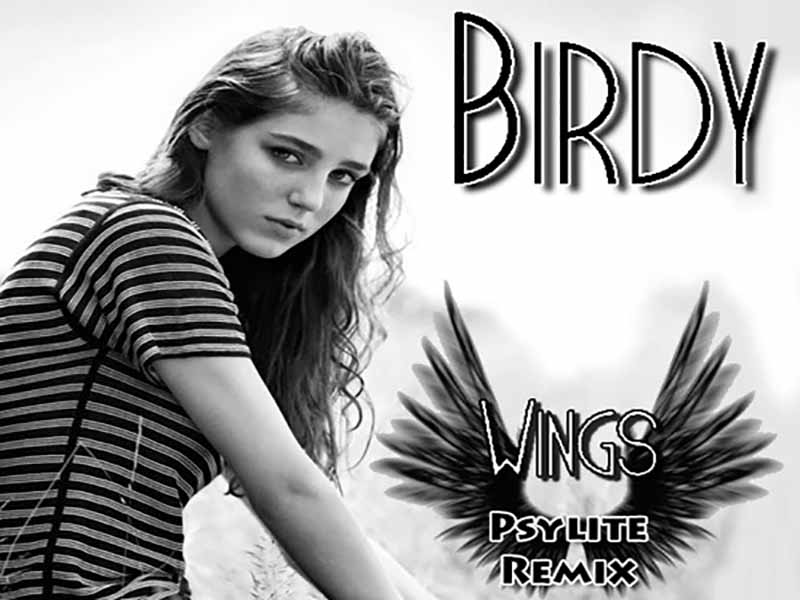 آهنگ انگلیسی Wings از Birdy به همراه متن و ترجمه مجزا