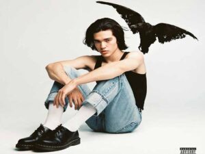 آهنگ انگلیسی Heather از Conan Gray به همراه متن و ترجمه مجزا