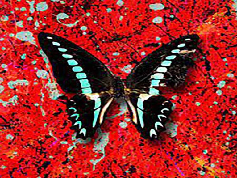 آهنگ انگلیسی First Times از Ed Sheeran به همراه متن و ترجمه مجزا