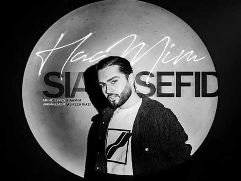 آهنگ “سیاه سفید” از حامیم با متن و ترجمه انگلیسی مجزا