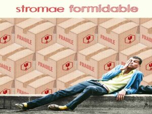 آهنگ فرانسوی Formidable از Stromae به همراه متن و ترجمه مجزا