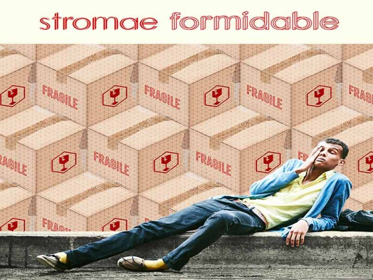 آهنگ فرانسوی Formidable از Stromae به همراه متن و ترجمه مجزا