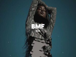 آهنگ انگلیسی BMF از SZA به همراه متن و ترجمه مجزا
