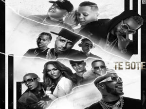 آهنگ اسپانیایی Te Boté از Anuel AA و Darell و Nicky Jam و Ozuna به همراه متن و ترجمه مجزا