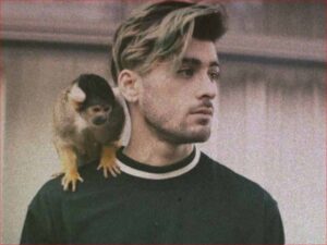 آهنگ انگلیسی Still Got Time از Zayn Malik و PARTYNEXTDOOR به همراه متن و ترجمه مجزا