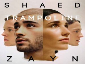 آهنگ انگلیسی Trampoline از Zayn Malik به همراه متن و ترجمه مجزا