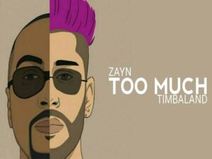 آهنگ انگلیسی Too Much از Zayn Malik و Timbaland به همراه متن و ترجمه مجزا