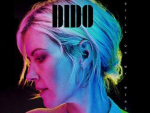 آهنگ انگلیسی Take You Home از Dido به همراه متن و ترجمه مجزا