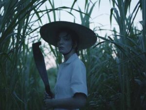 آهنگ انگلیسی Perfect Places از Lorde به همراه متن و ترجمه مجزا