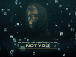 آهنگ انگلیسی Not You از Alan Walker به همراه متن و ترجمه مجزا