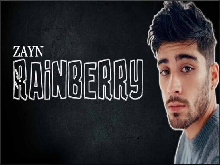 آهنگ انگلیسی Rainberry از Zayn Malik به همراه متن و ترجمه مجزا
