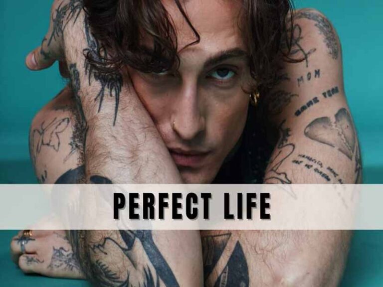 آهنگ انگلیسی Perfect Life از Damiano David به همراه متن و ترجمه مجزا