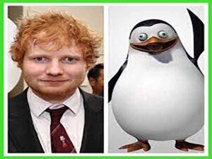 آهنگ انگلیسی Penguins از Ed Sheeran به همراه متن و ترجمه مجزا