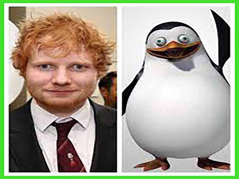 آهنگ انگلیسی Penguins از Ed Sheeran به همراه متن و ترجمه مجزا