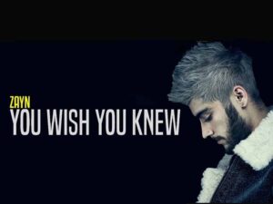 آهنگ انگلیسی You Wish You Knew از Zayn Malik به همراه متن و ترجمه مجزا