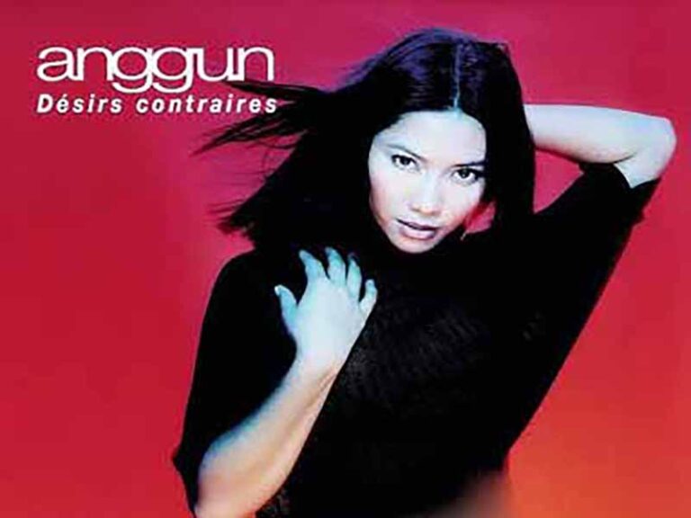 آهنگ فرانسوی Chaque jour sans fièvre از Anggun به همراه متن و ترجمه مجزا