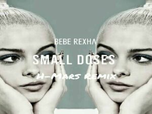 آهنگ انگلیسی Small Doses از Bebe Rexha به همراه متن و ترجمه مجزا