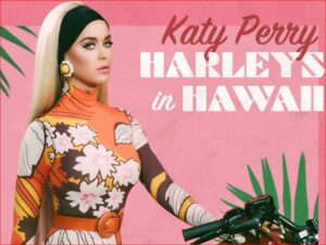 آهنگ انگلیسی Harleys In Hawaii از Katy Perry به همراه متن و ترجمه مجزا