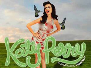 آهنگ انگلیسی Hummingbird Heartbeat از Katy Perry به همراه متن و ترجمه مجزا