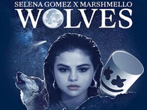 آهنگ انگلیسی Wolves از Selena Gomez و Marshmello به همراه متن و ترجمه مجزا