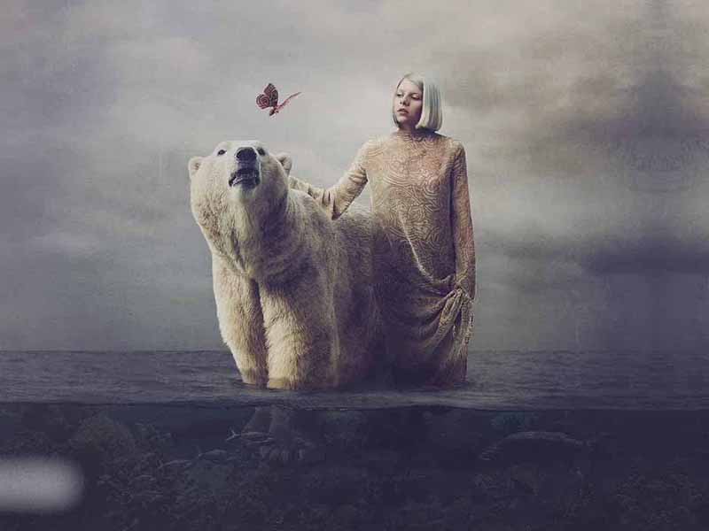 آهنگ انگلیسی Warrior از AURORA به همراه متن و ترجمه مجزا