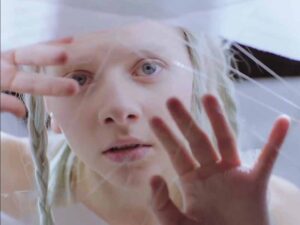 آهنگ انگلیسی Winter Bird از AURORA به همراه متن و ترجمه مجزا