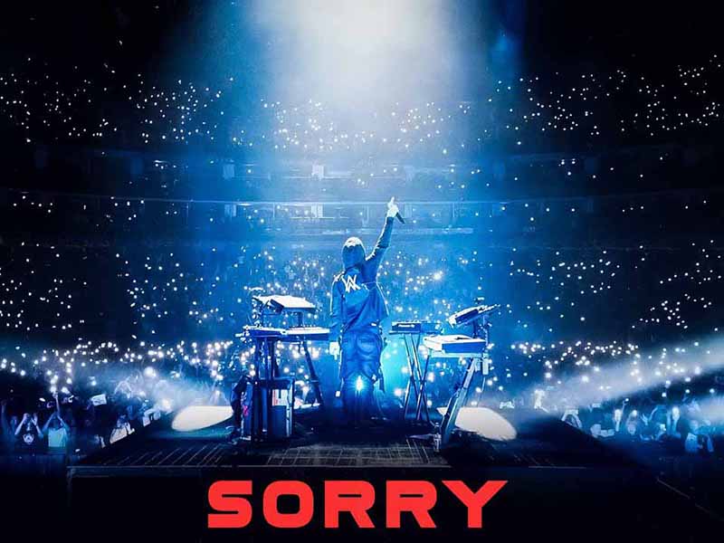 آهنگ انگلیسی Sorry از Alan Walker به همراه متن و ترجمه مجزا