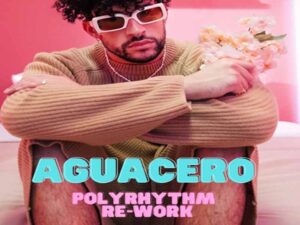 آهنگ اسپانیایی Aguacero از Bad Bunny به همراه متن و ترجمه مجزا
