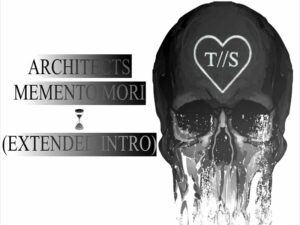 آهنگ انگلیسی Memento Mori از Architects به همراه متن و ترجمه مجزا